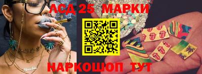 дмт Новодвинск