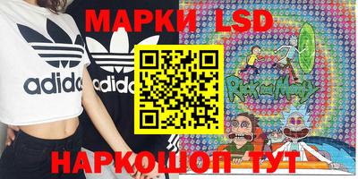 дмт Новодвинск