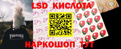 гашик Нальчик
